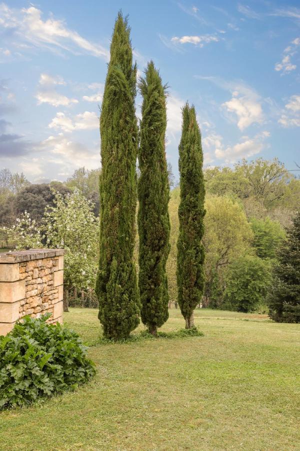 Hotel Le Mas de Castel - Piscine chauffee Sarlat Esterno foto